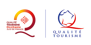 logo QT